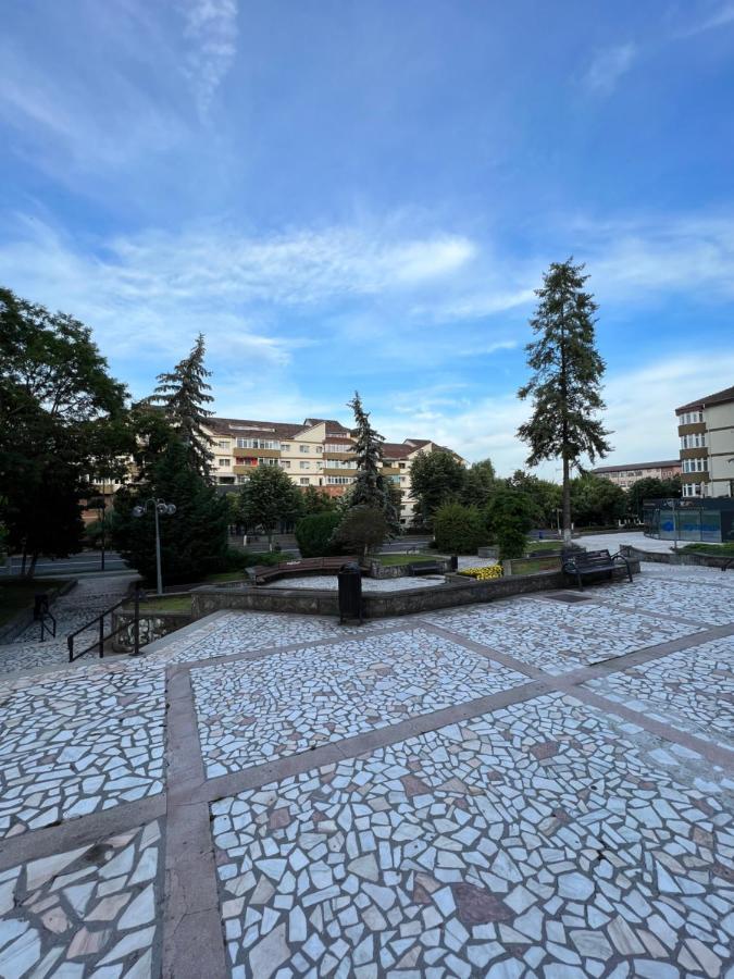Apartament Centru Râmnicu Vâlcea Exteriér fotografie